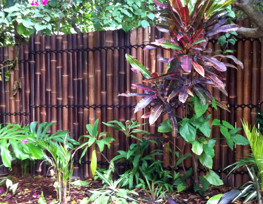1.8m bamboo fencing