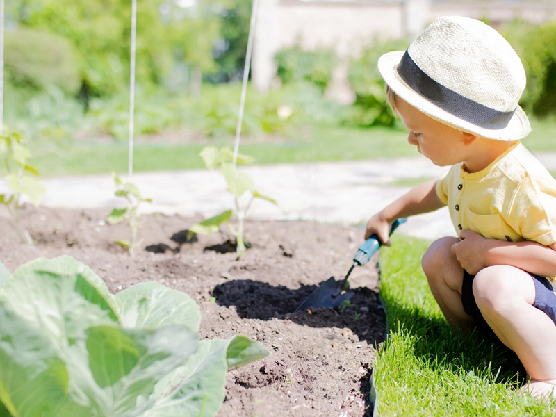 maintenance-childcare-gardening